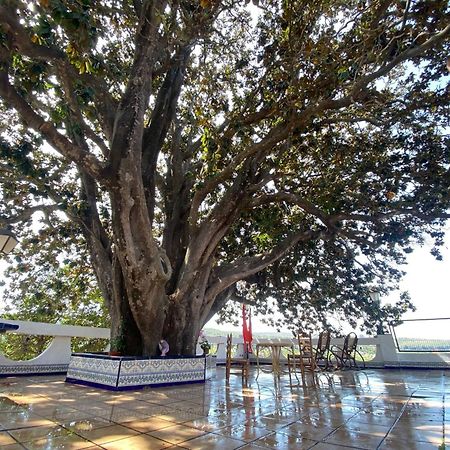 Casa Magnolia, A Rural Paradise House With Pool Альсіра Екстер'єр фото
