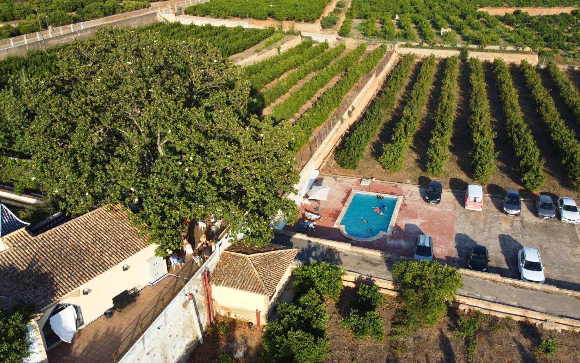 Casa Magnolia, A Rural Paradise House With Pool Альсіра Екстер'єр фото